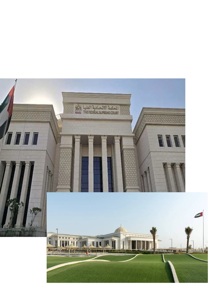 61e6cd49 2580x2020wtransparent